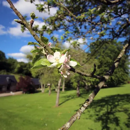 Les Fermes De Florence Bien Etre Et Nature Vakantiehuis *