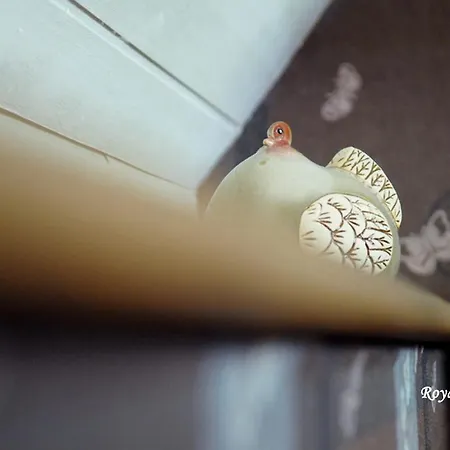 Les Fermes De Florence Bien Etre Et Nature Vakantiehuis *