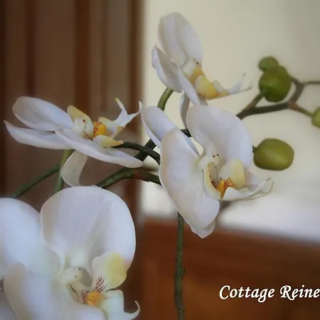 Les Fermes De Florence Bien Etre Et Nature * Les Champeaux