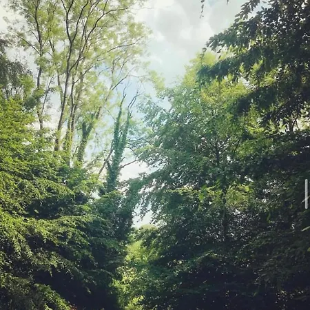 Les Fermes De Florence Bien Etre Et Nature Les Champeaux