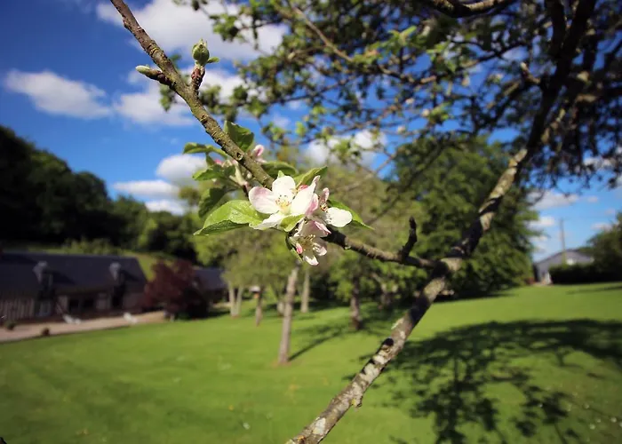Les Fermes De Florence Bien Etre Et Nature Holiday home *