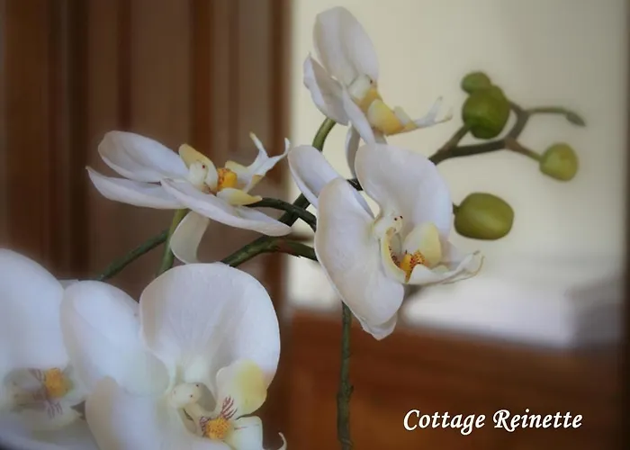 Les Fermes De Florence Bien Etre Et Nature * Les Champeaux