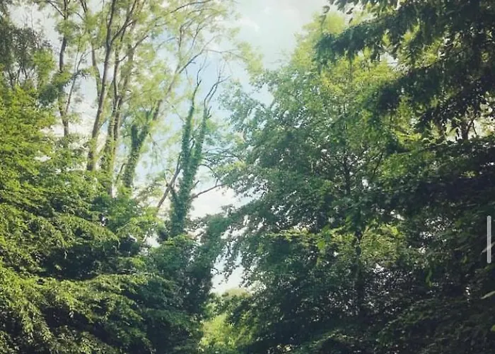 Les Fermes De Florence Bien Et Nature Les Champeaux